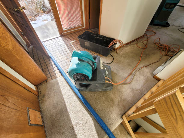  League City, TX Water damage restoration Pros
