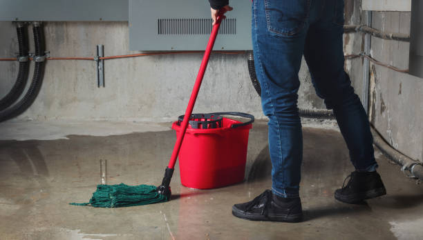 Best Water damage cleanup near me  in League City, TX