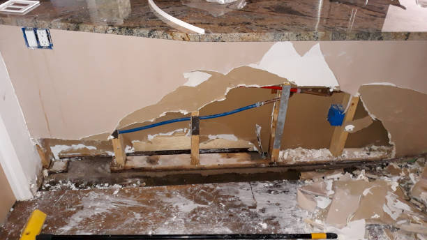 Best Water damage restoration near me  in League City, TX