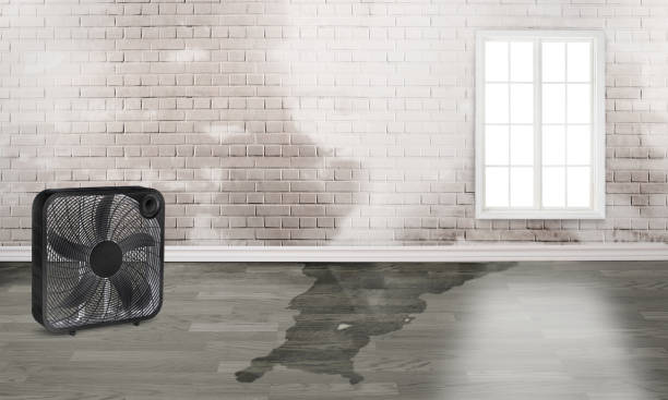 Best Sewage cleanup and water damage restoration  in League City, TX