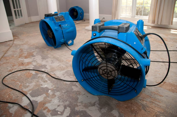 Best Water damage repair service  in League City, TX