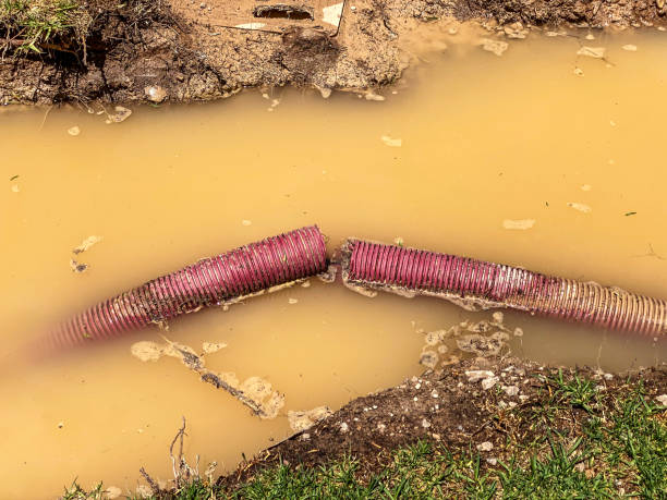 Best Carpet water damage restoration  in League City, TX