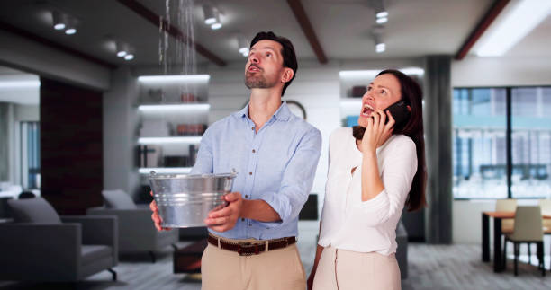 Best Professional water damage repair  in League City, TX